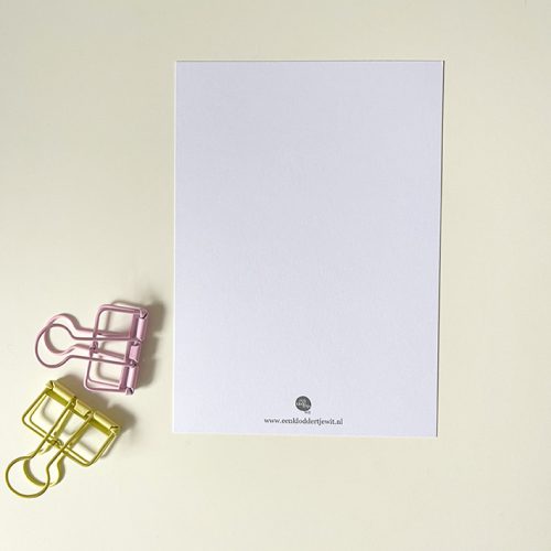 abe en nooa achterzijde