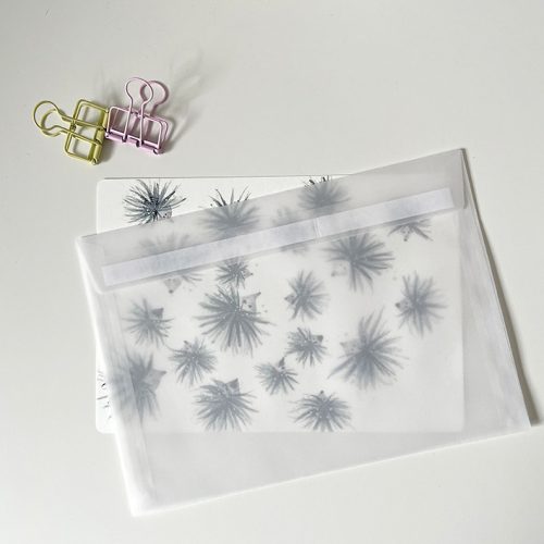 winter egeltjes envp